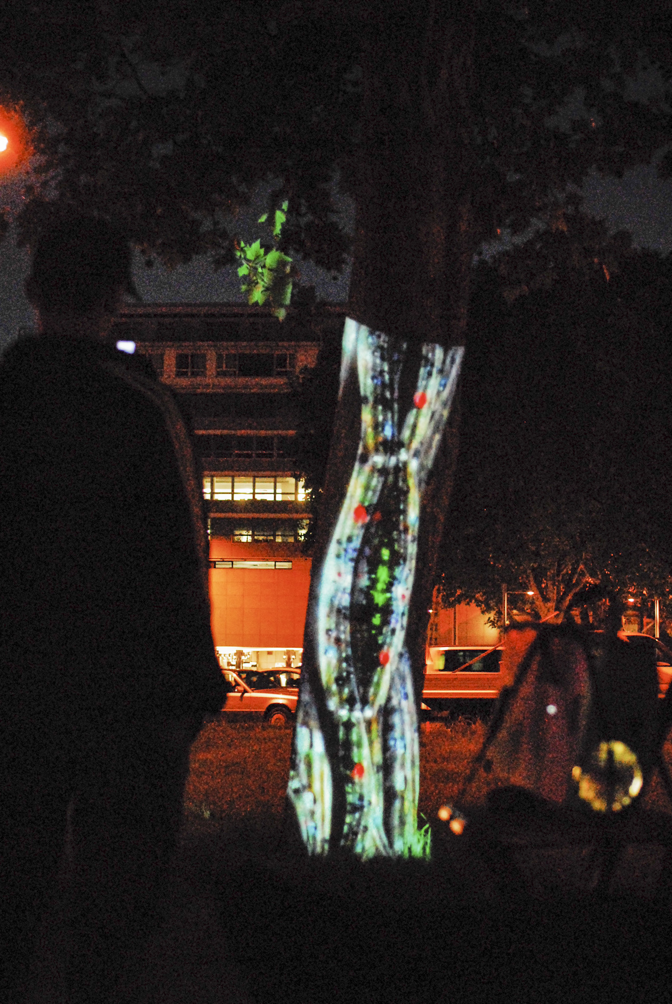 Tree, Travic, Muchenberger